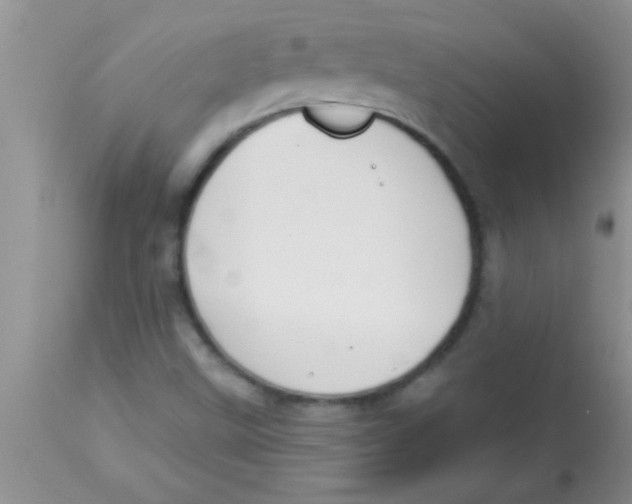 X0000112891499200909181900