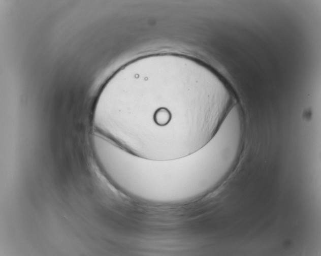 X0000112891500200909181900