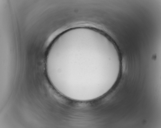 X0000112891501200909181900
