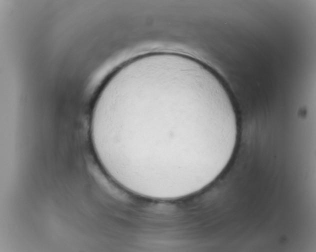 X0000112891503200909181900
