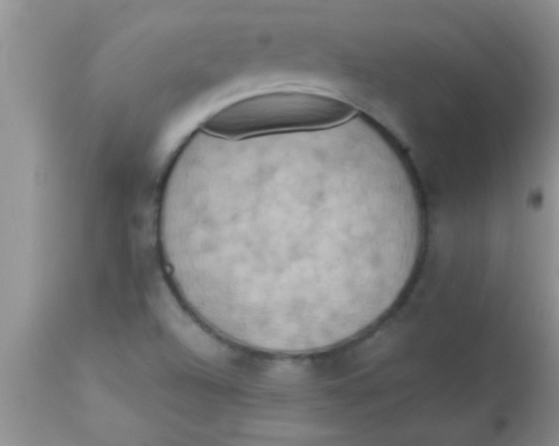 X0000112891504200909181900