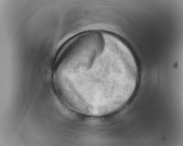 X0000112891505200909181900