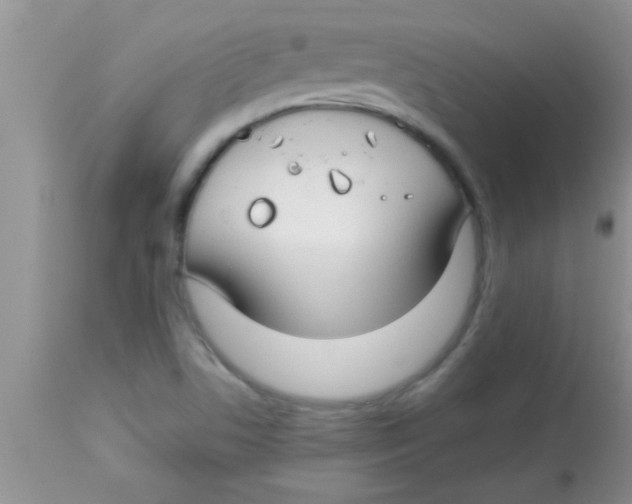 X0000112891506200909181900