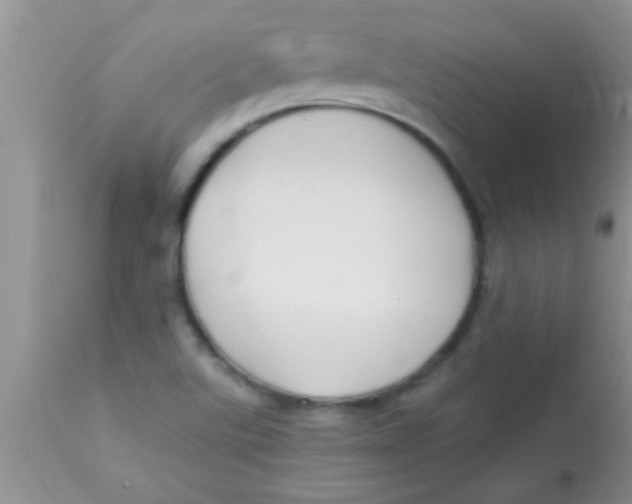 X0000112891507200909181900