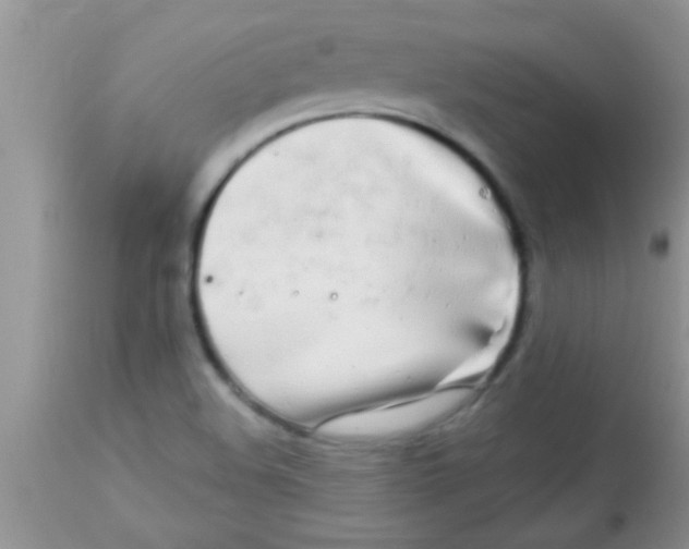 X0000112891508200909181900