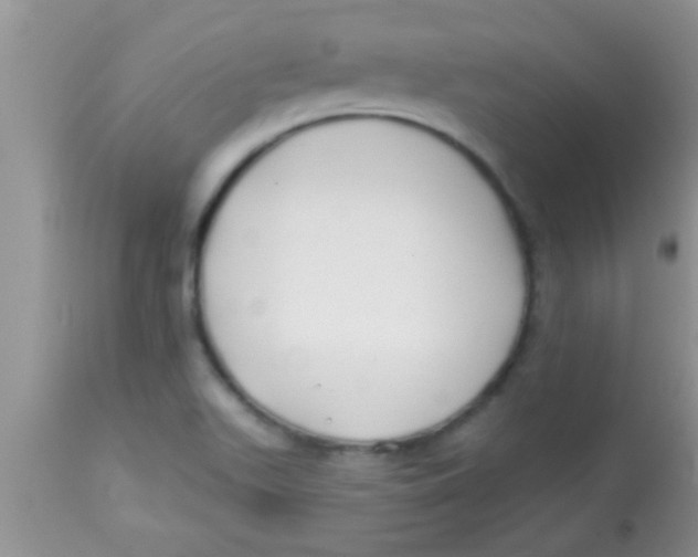 X0000112891511200909181900