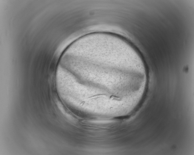 X0000112891513200909181900