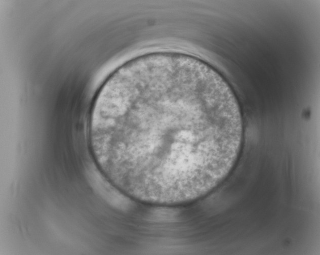 X0000112891514200909181900