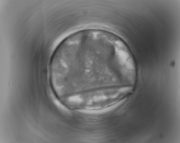 X0000112891515200909181900
