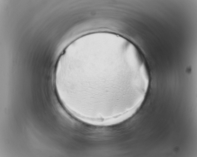 X0000112891516200909181900