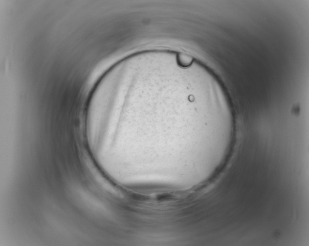 X0000112891517200909181900