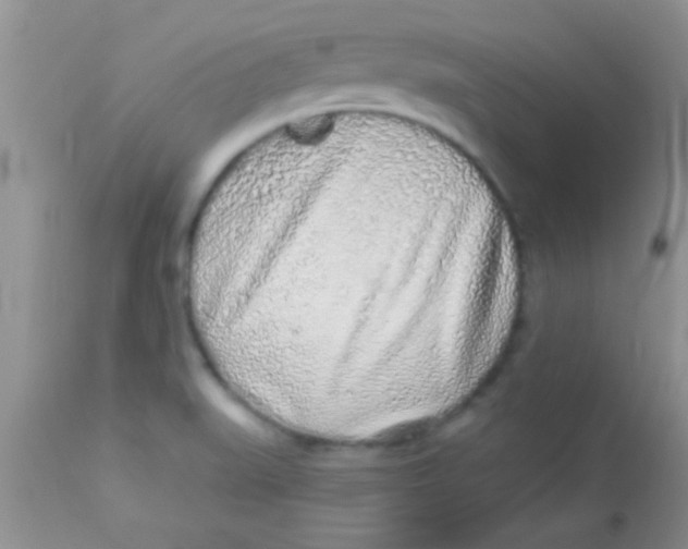 X0000112891519200909181900