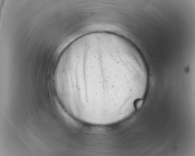 X0000112891521200909181900