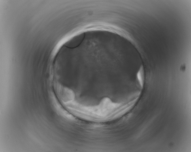 X0000112891522200909181900