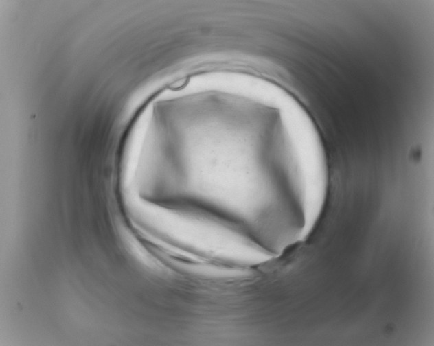 X0000112891523200909181900