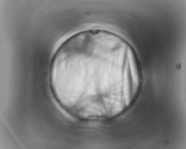 X0000112891525200909181900