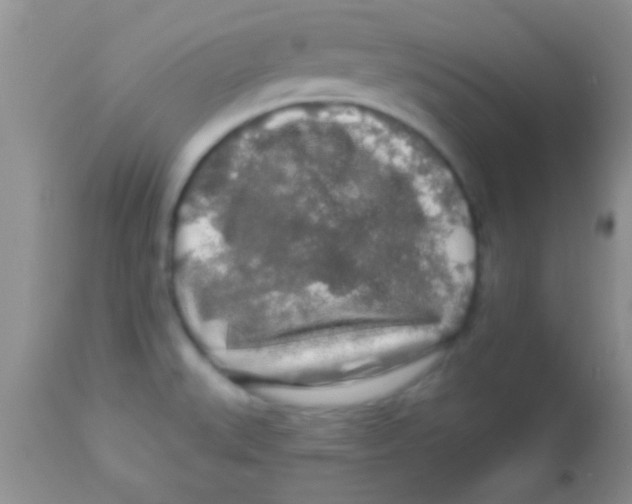 X0000112891527200909181900