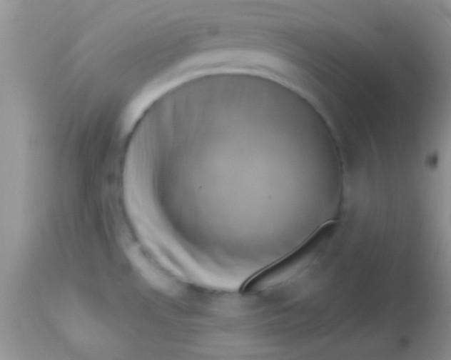 X0000112891530200909181900
