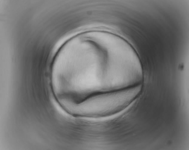X0000112891531200909181900