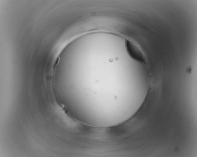 X0000112891532200909181900