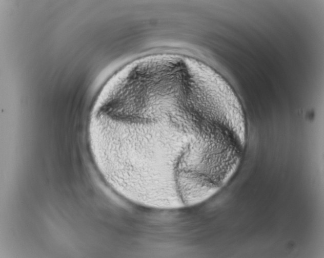 X0000112891533200909181900