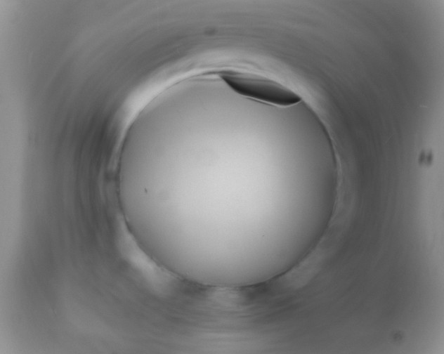 X0000112891536200909181900