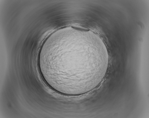 X0000112890001200910021423