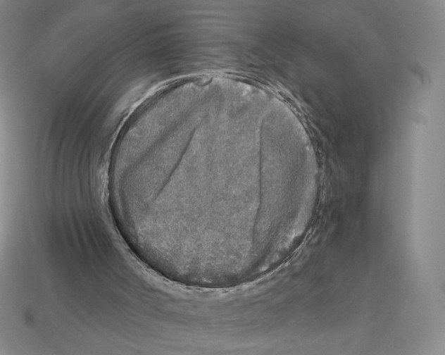 X0000112890002200910021423