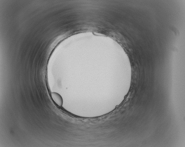 X0000112890003200910021423