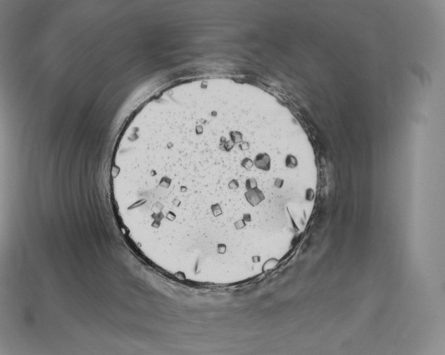 X0000112890004200910021423