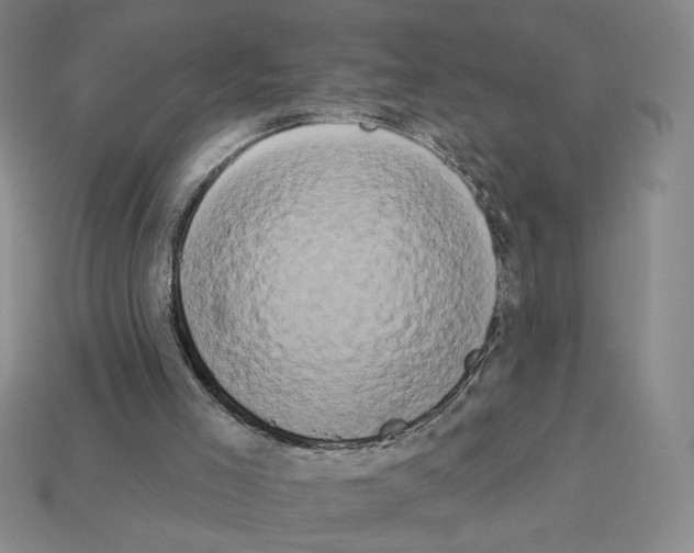 X0000112890005200910021423