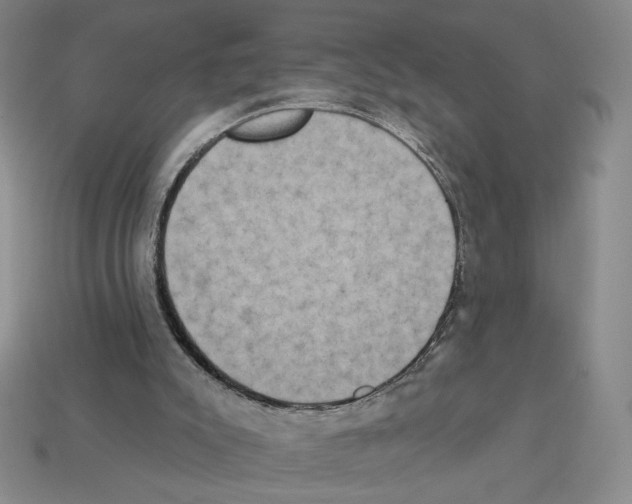X0000112890007200910021423
