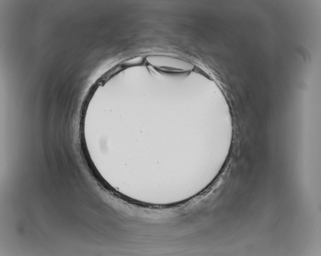 X0000112890008200910021423
