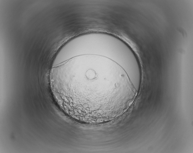 X0000112890009200910021423