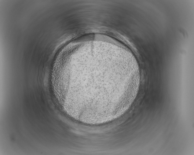 X0000112890010200910021423
