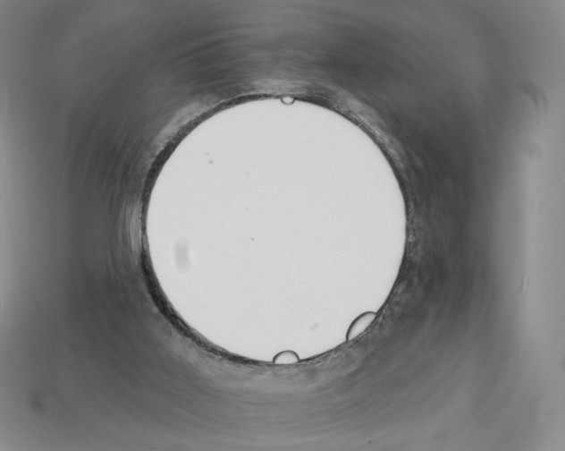X0000112890011200910021423