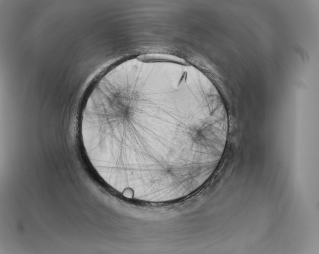 X0000112890012200910021423