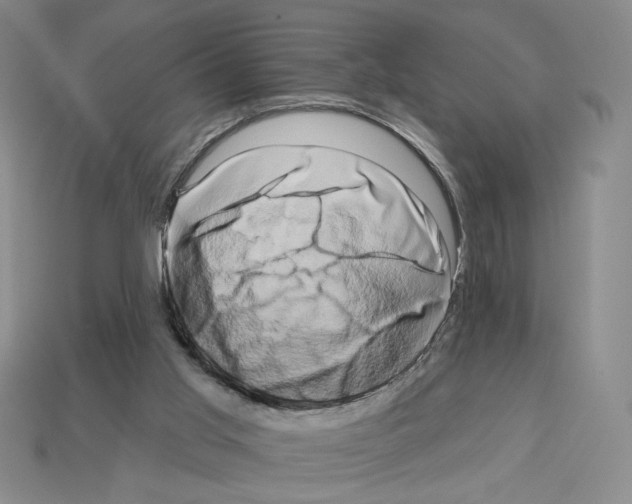 X0000112890013200910021423
