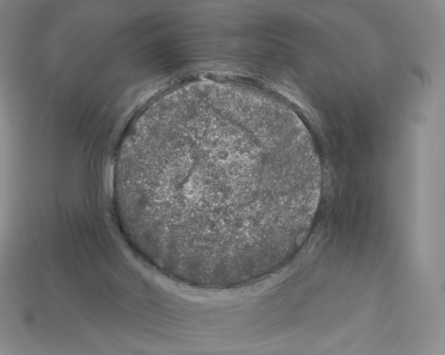X0000112890014200910021423