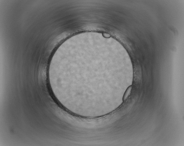 X0000112890015200910021423