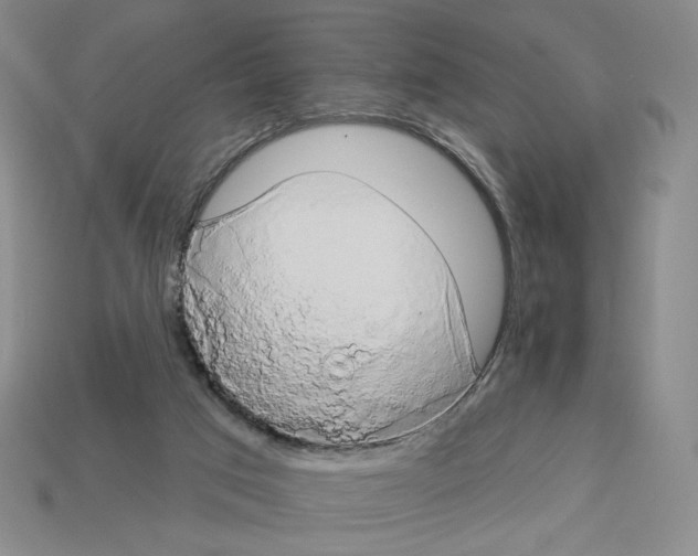 X0000112890017200910021423