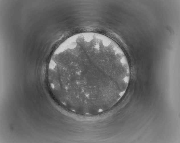 X0000112890018200910021423