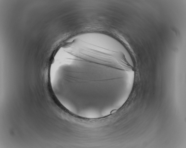 X0000112890019200910021423