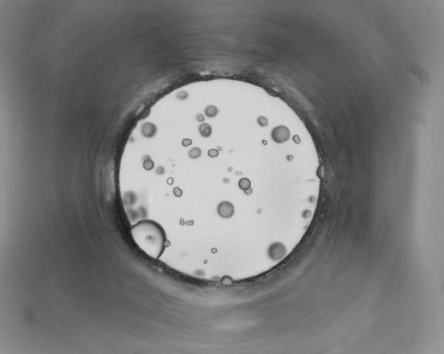 X0000112890020200910021423