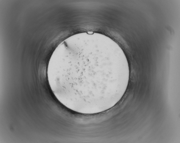 X0000112890021200910021423