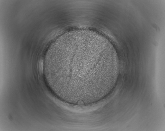 X0000112890022200910021423