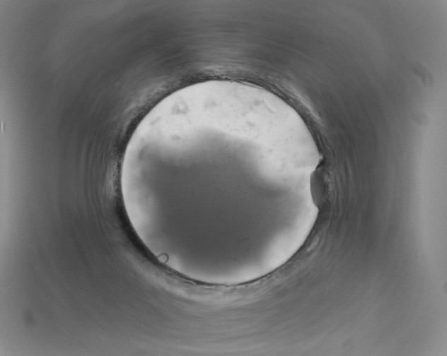 X0000112890023200910021423