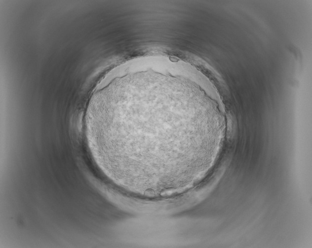 X0000112890024200910021423