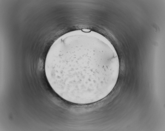 X0000112890025200910021423