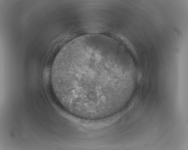 X0000112890026200910021423